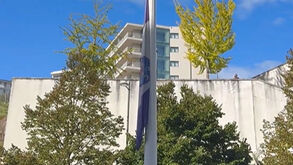 O hastear da bandeira do FC Porto no dia em que dragões celebram 132 anos