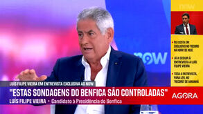 Luís Filipe Vieira e as sondagens: «Isso é tudo fabricado para manipular a realidade»