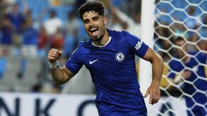 Pedro Neto confirma interesse do Benfica: «Num momento era para ir, depois já não era...»