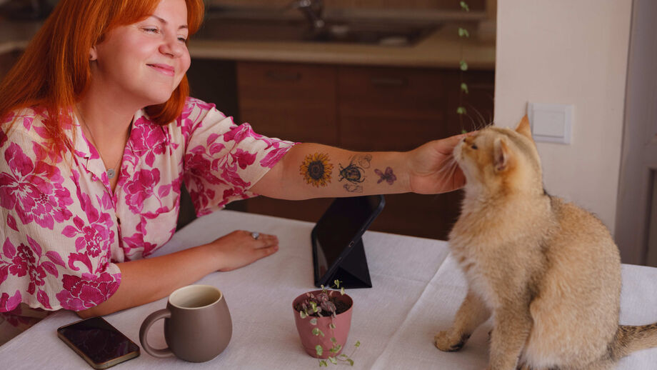 Beber um café enquanto faz festinhas a um gato? Conheça estes 2 "cat cafés"