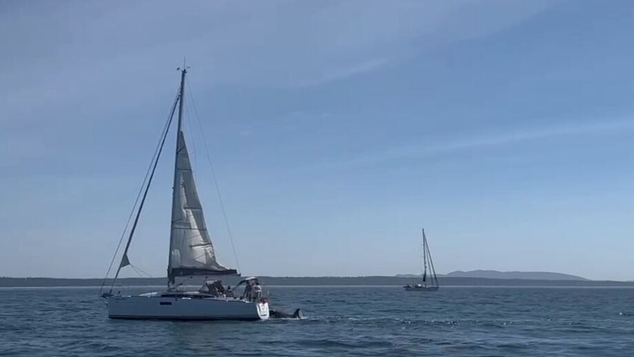 Autoridade Marítima atua