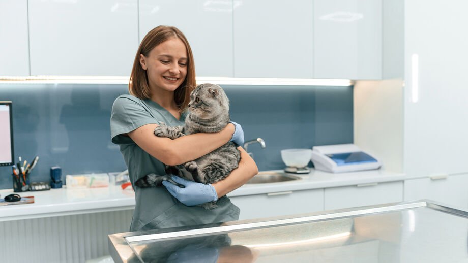 Como pode preparar o seu animal para uma visita ao veterinário sem stress?