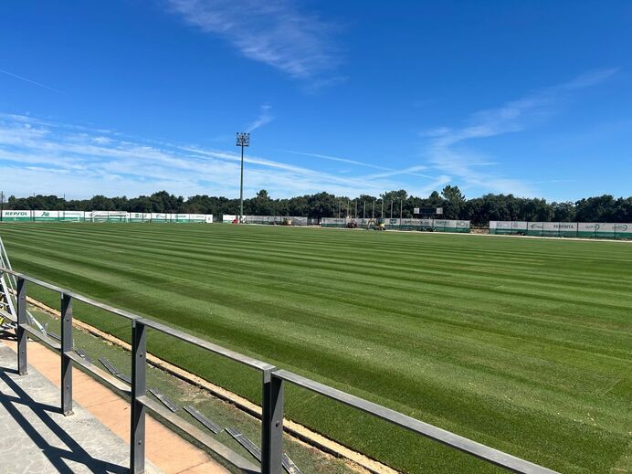 Estádio Aurélio Pereira  com novo relvado