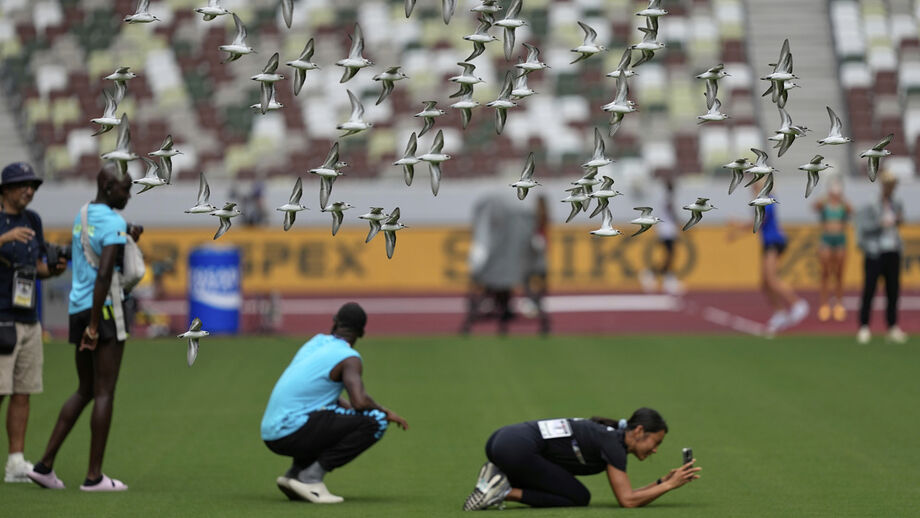 Estádio Nacional em Tóquio