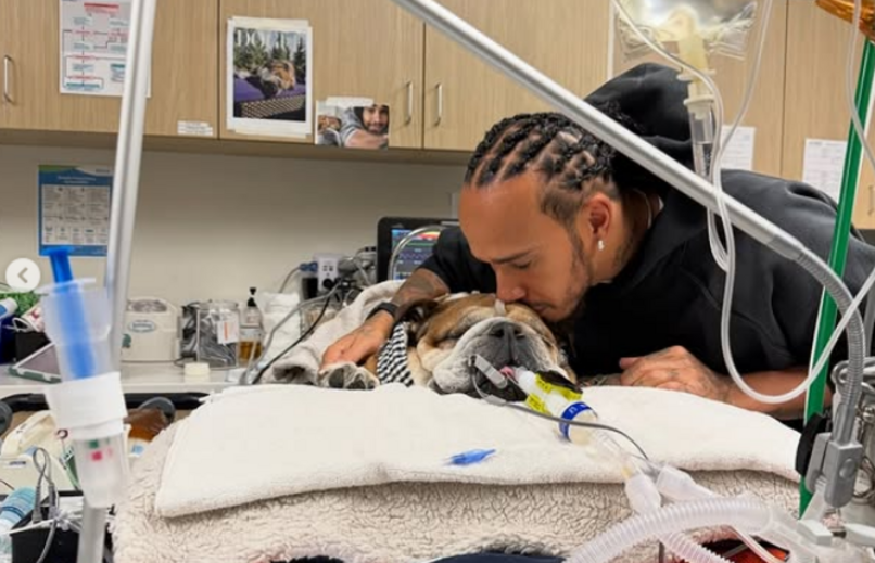 Hamilton com Roscoe no hospital