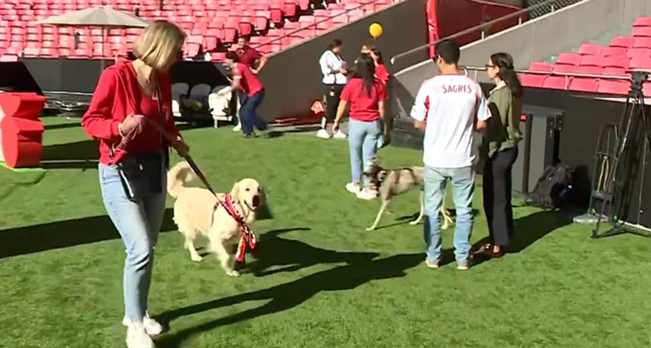 Dia Mundial do Animal assinalado no Estádio da Luz