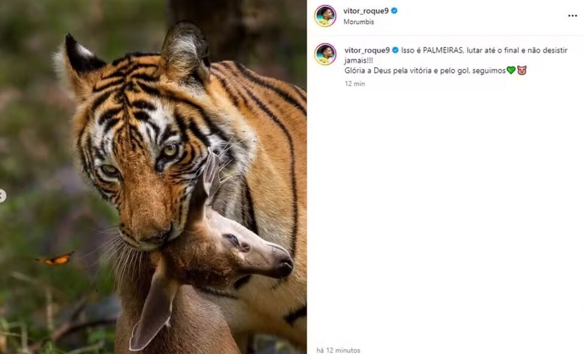Palmeiras luta até ao final. Glória a Deus pela vitória