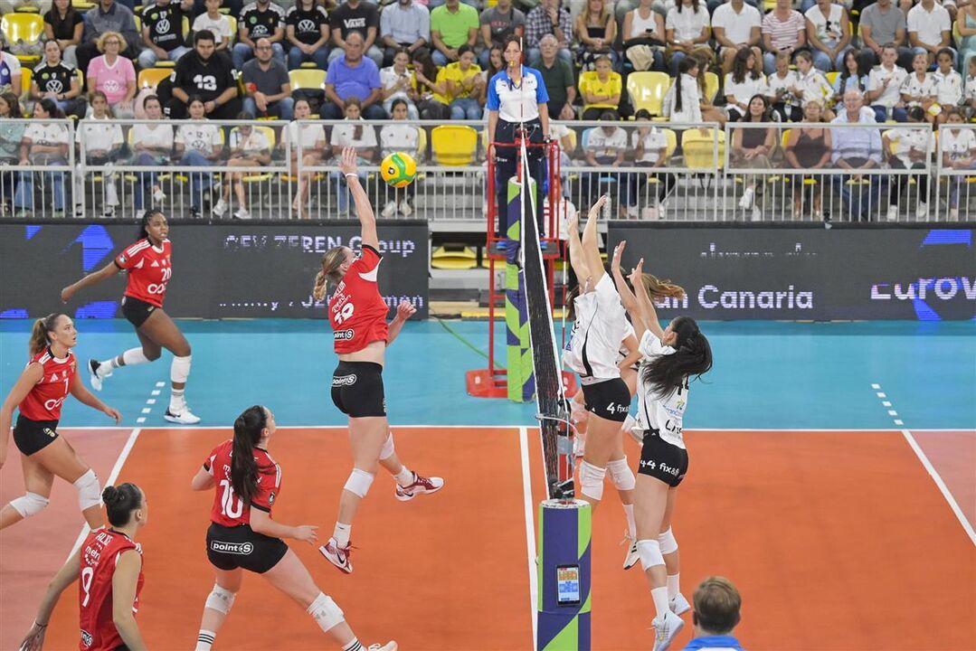 Benfica qualificado na 'Champions' feminina de voleibol em Las Palmas