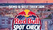 Cartaz Reb Bull Spot Check 2025 
