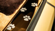 Rolls-Royce Spectre homenageia Bailey, cão de clientes nos Estados Unidos
