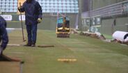 Novo relvado do Estádio João Cardoso a ser colocado