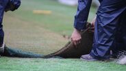 Novo relvado do Estádio João Cardoso a ser colocado