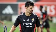 Tomás Araújo