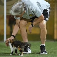 <![CDATA[ «Bichinha, anda cá!»: Jorge Jesus recebe visita especial no treino do Al Nassr e volta à carga... no inglês ]]>