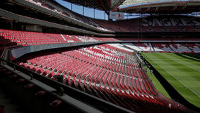 Benfica inicia defesa da Allianz Cup no dia 29 com receção ao Tondela: as datas de todos os jogos dos 'quartos'
