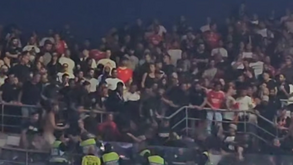 Novas imagens da pancadaria entre adeptos do Benfica e polícia nas bancadas do Dragão