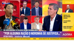 Vítor Pinto: «O Gyökeres da presidência do Benfica é Rui Costa. Onde está Hasan Çetinkaya?»