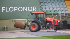Tondela mostra colocação do novo relvado para jogo com o Sporting: «Quatro semanas de trabalho árduo»