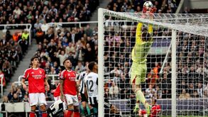 Trubin durante o Newcastle-Benfica
