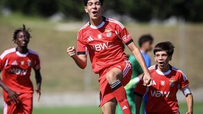 CIES coloca Benfica no topo das melhores academias de formação do Mundo