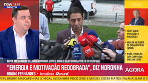 «Vimos Rui Costa completamente aliviado pelos resultados nas eleições do Benfica»