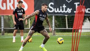 Benfica afina estratégia para a Allianz Cup: as imagens do último treino antes do jogo com o Tondela