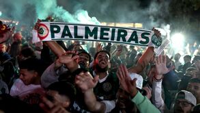Fãs do Palmeiras celebram durante o jogo contra a LDU Quito