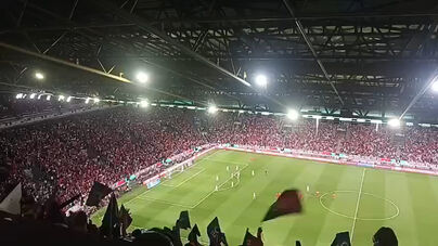 Alvalade festejou assim o golo histórico de Ronaldo: capitão torna-se no maior goleador em qualificações para Mundiais