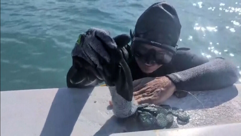 Mais de mil moedas de ouro e prata