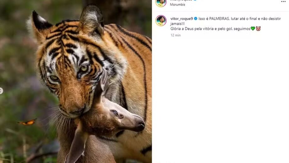 A imagem que fez estalar polémica