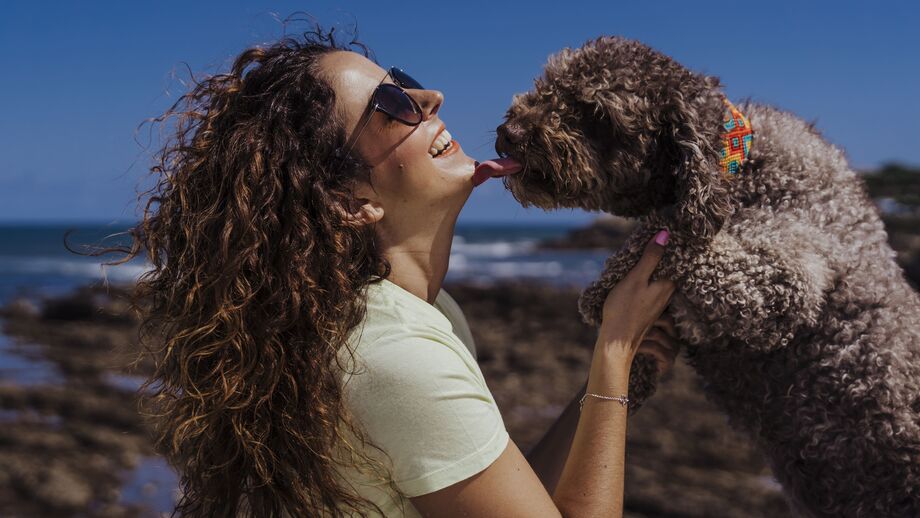 Lamber é sempre sinal de carinho? Descubra o que o seu cão quer comunicar através das lambidelas