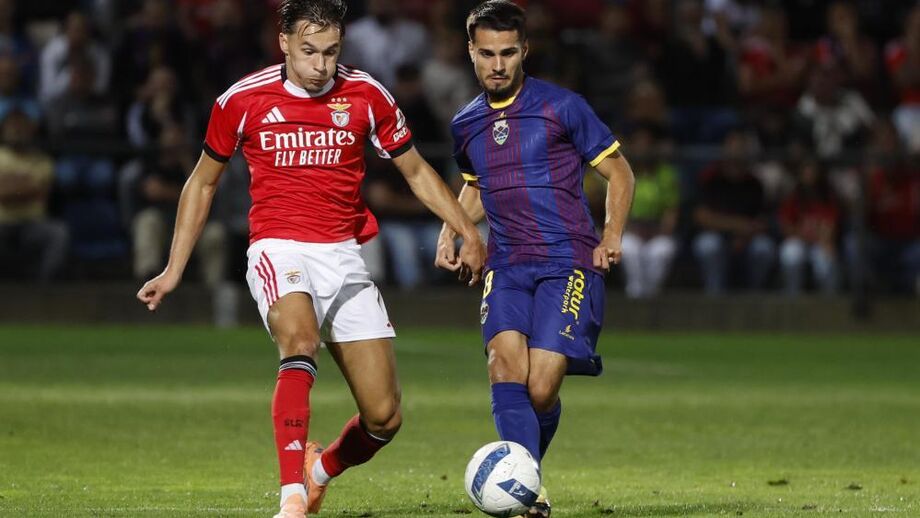 Henrique Pereira contra Dedic