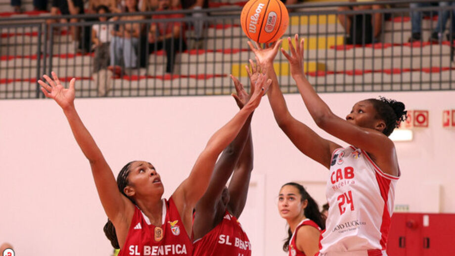 Benfica basket feminino