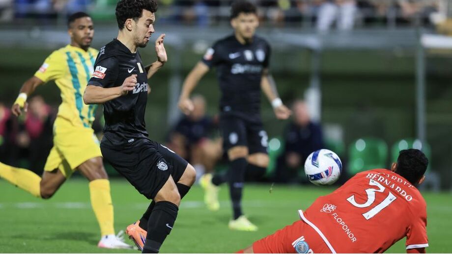 Bernardo Fontes, guarda-redes do Tondela