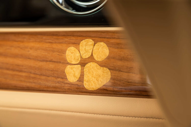 Rolls-Royce cria Spectre Bailey, homenagem canina de casal americano ao seu cão, Bailey