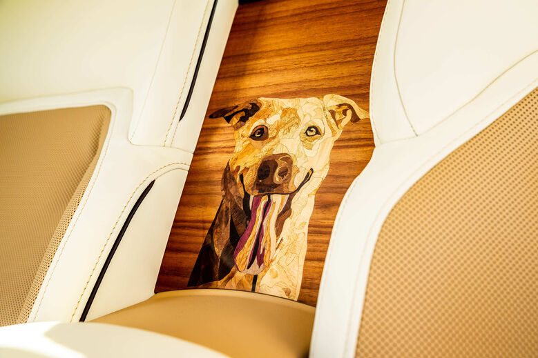 Rolls-Royce Spectre homenageia Bailey, cão de clientes nos Estados Unidos