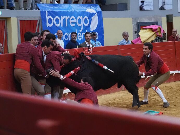 Aursnes esteve numa tourada com o pai de João Neves