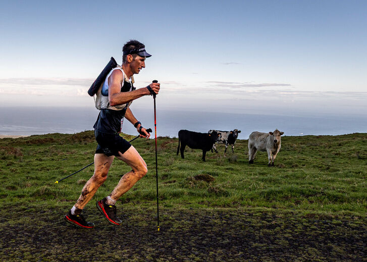 Aventura nos Açores com atleta e vacas em paisagem montanhosa