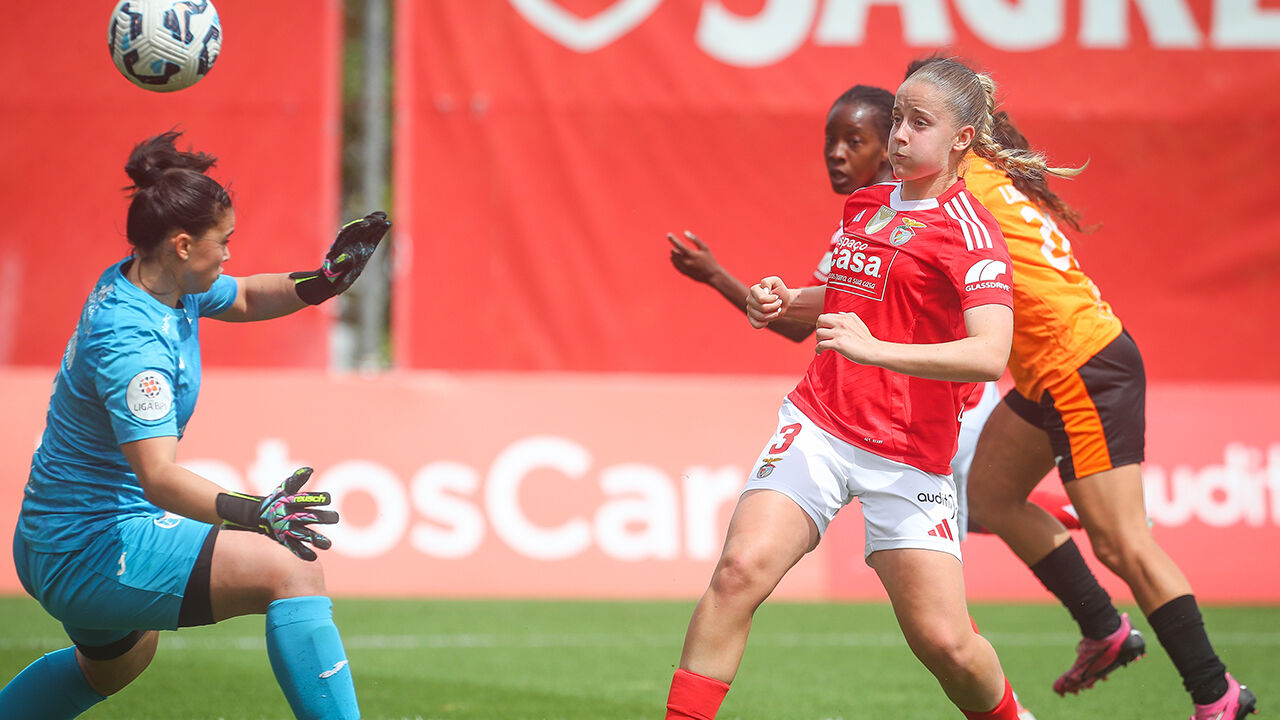 Futebol feminino: Benfica joga contra Albergaria na Taça de Portugal