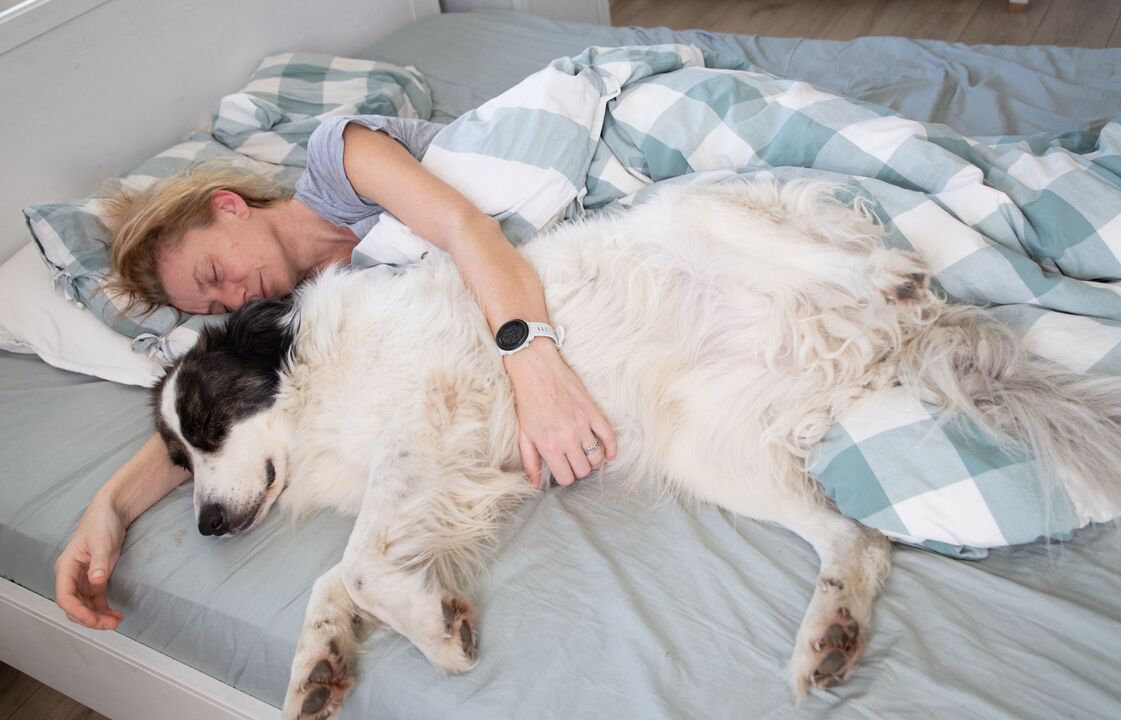 Será que é boa ideia dormir com os patudos? Fique com os prós e contras