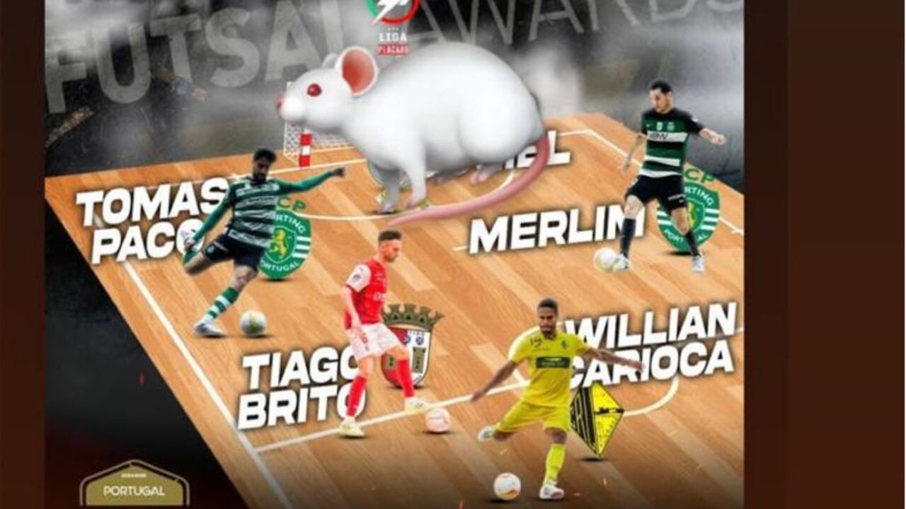 A imagem da polémica entre Merlim e Gugiel