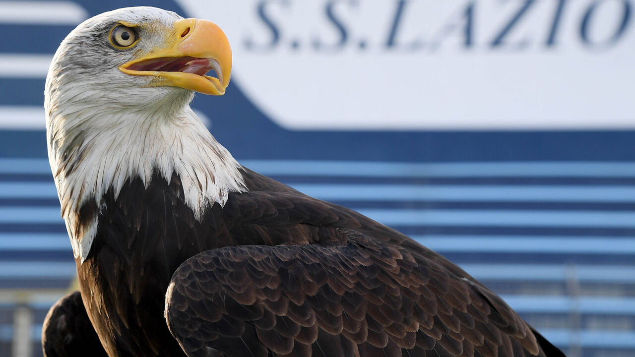 Lazio anuncia chegada de nova águia