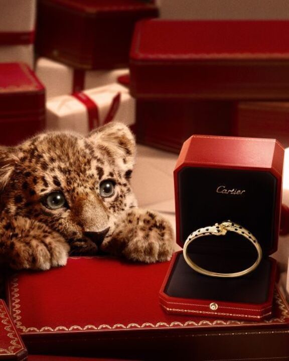 O Natal ficou mais mágico e fofinho. Cartier lança campanha festiva com panteras bebé