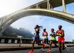 Atletas correm na Maratona do Porto sob a Ponte da Arrábida.
