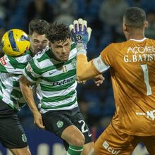 <![CDATA[ Mão cheia do leão na montanha russa ]]>