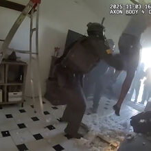 <![CDATA[ Ladrão tenta esconder-se em sótão e acaba por cair em cima de equipa da SWAT ]]>