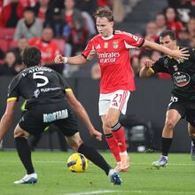 <![CDATA[ Selecionador da Noruega explica permanência de Schjelderup no grupo: «Por que deveria puni-lo ainda mais? ]]>