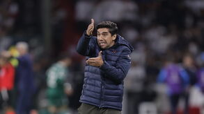 Abel Ferreira