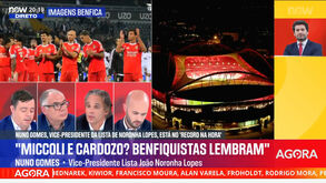 Nuno Gomes responde a Humberto Coelho: «Termos de ludibriar e compor o ramalhete...»