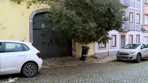 Árvore de grande porte tomba sobre muro na Lapa